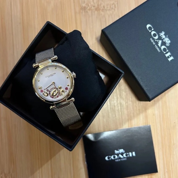 NWT Coach Cary Watch With 34mm Silver White Face & Golden MeshBracelet - Picture 3 of 6